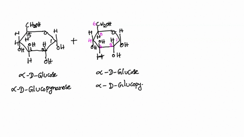 what-is-the-type-of-glycosidic-bond-in-each-of-the-disaccharides-disaccharide-maltose-type-of-glycosidic-bond-lactose-sucrose-why-can-maltose-and-lactose-have-and-b-anomers-but-ucros-does-no-27936