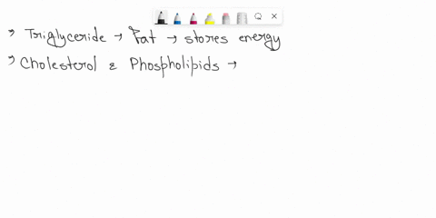 which-of-the-following-statements-about-animal-cell-lipids-is-false-fats-are-form-of-lipid-that-function-to-store-energy-many-lipids-function-as-enzymes-cholesterol-is-a-type-of-lipid-that-i-06626