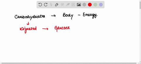 why-are-carbohydrates-macromolecules-important-to-us-macromolecule-and-write-why-it-is-the-most-important-to-the-function-structure-and-defense-of-a-microbe-think-about-what-roles-your-macro-28136