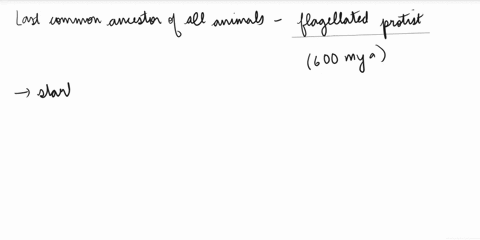 question-12-the-last-common-ancestor-of-all-animals-was-probably-a-multicellular-fungus-protist-with-no-flagella-unicellular-chytrid-flagellated-protist-multicellular-algae-44245