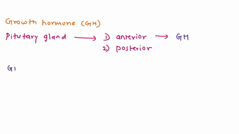 describe-one-direct-action-of-growth-hormone-gh-24392