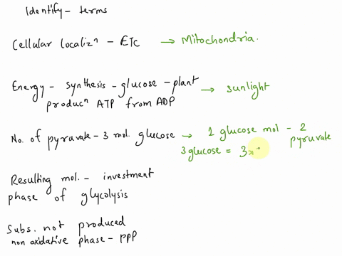 identify-the-following-cellular-localization-of-the-electron-transport-chain-during-cellular-respiration-energy-that-must-increase-and-needed-for-the-synthesis-of-glucose-and-other-sugars-in-43512
