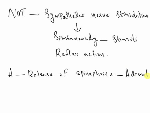 which-of-the-following-is-not-a-result-of-sympathetic-nerve-stimulation-a-release-of-epinephrine-b-increased-heart-rate-c-negative-chronotropic-effect-d-increased-action-potential-firing-87342