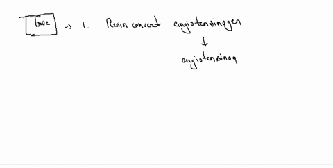 are-both-statements-correct-renin-converts-angiotensinogen-to-angiotensin-i-which-is-then-converted-to-angiotensin-ii-by-angiotensin-converting-enzyme-angiotensin-ii-stimulates-aldosterone-s-88814
