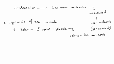which-of-the-following-is-true-about-condensation-reactions-the-synthesis-of-sucrose-from-fructose-and-glucose-formation-of-peptide-bond-is-a-condensation-reaction-condensation-reactions-inv-92459