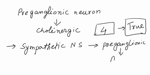 this-one-statement-is-true-somatic-neurons-are-usually-adrnergi-parasympatheticneuron-fiberscausevasoconstriction-post-ganglionic-neuron-fibers-in-the-sympathetic-nervous-system-are-usually-17363