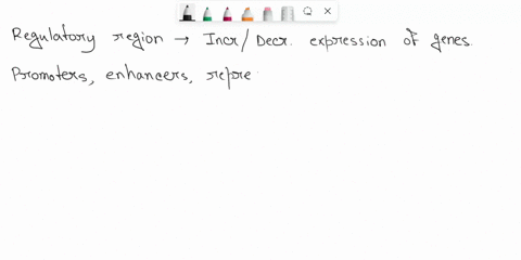 4-if-a-mutation-happens-in-the-regulatory-region-for-a-particular-gene-which-of-the-following-is-not-a-possible-outcome-a-increased-production-of-that-gene-product-bs-production-of-a-differe-70327
