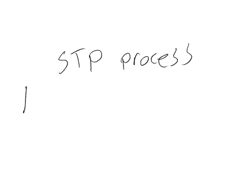 which-of-the-following-is-an-essential-step-in-the-stp-process-select-one-a-developing-a-marketing-budget-b-conducting-market-research-c-setting-sales-targets-d-creating-a-pricing-strategy-16287
