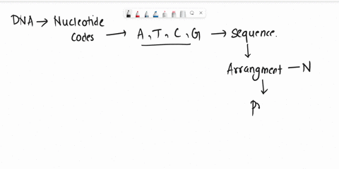 which-of-these-would-most-likely-cause-a-mutation-a-the-placement-of-ribosomes-on-the-endoplasmic-reticulum-b-the-insertion-of-a-nucleotide-into-dna-c-the-movement-of-transfer-rna-out-of-the-05638