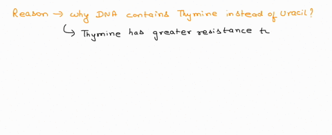 propose-an-explanation-why-dna-contains-adenine-t-cytosine-c-guanine-g-and-thymine-t-but-not-uracil-u-82537