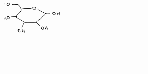 2-attempts-left-check-my-work-classify-the-transformation-as-substitution-elimination-or-addition-select-the-single-best-answer-ho-ho-chgoh-ho-oh-ho-hci-ho-oh-ho-oh-addition-substitution-eli-12557