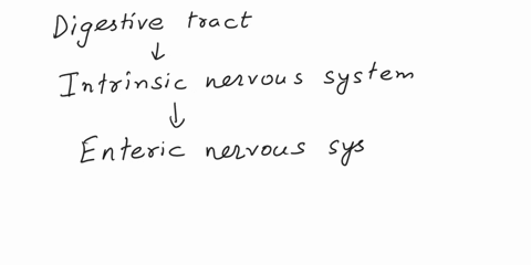 the-digestive-tract-has-a-nervous-system-of-its-own-called-the-_________-nervous-system-enteric-central-sympathetic-parasympathetic-peripheral-64428
