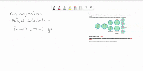 question-15-nondisjunction-is-the-failure-of-homologous-chromosomes-or-sister-chromatids-to-separate-in-meiosis-or-mitosis_-in-the-following-figure-nondisjunction-is-occurring-in-one-cell-du-64792