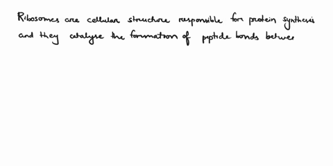 the-ribosome-is-needed-for-translation-of-mrna-a-because-it-has-the-enzyme-that-forms-peptide-bonds-between-amino-acids-b-because-the-ribosomal-rna-contains-the-codon-which-determine-the-seq-67118