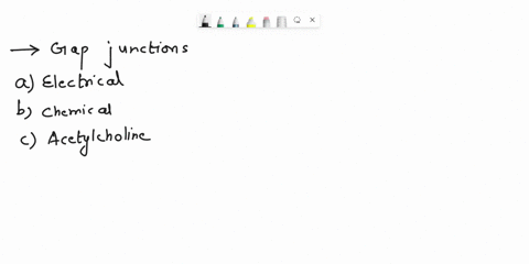 gap-junctions-are-characteristic-of-a-electrical-synapses-b-chemical-synapses-c-acetylcholine-synaps-49934