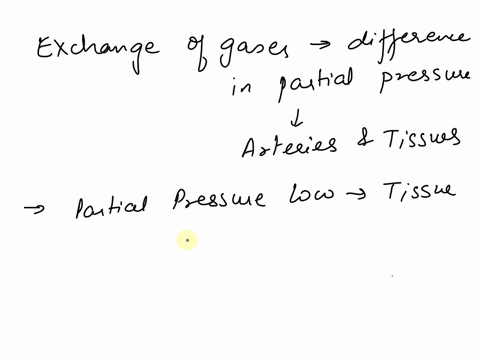 compared-with-the-interstitial-fluid-that-bathes-active-muscle-cells-blood-reaching-these-cells-in-arerioles-has-greater-bicarbonate-concentration-higher-pcoz-lower-ph-higher-por-0d-99757