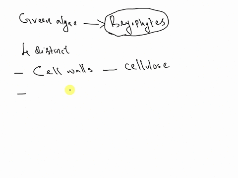 green-algae-are-believed-to-be-the-ancestors-of-the-bryophyte-cite-four-distinct-lines-of-evidence-to-support-this-belief-52555
