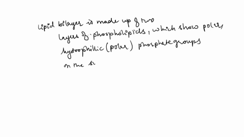 which-substances-do-you-think-will-diffuse-across-the-lipid-bilayer-most-quickly-most-slowly-01557