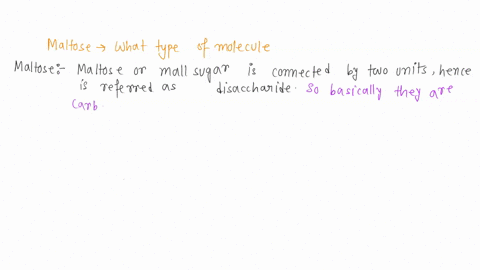 based-on-the-suffix-molecule-of-maltose-is-most-likely-what-type-of-macromolecule-nucleic-acid-protcin-carbohydrate-lipid-01828