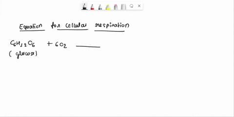 can-i-have-help-with-the-following-questions-3-in-this-respiration-chamber-cellular-respiration-can-be-studied-a-mouse-is-placed-in-flask-b-while-flasks-a-cand-d-contain-distilled-water-and-75346