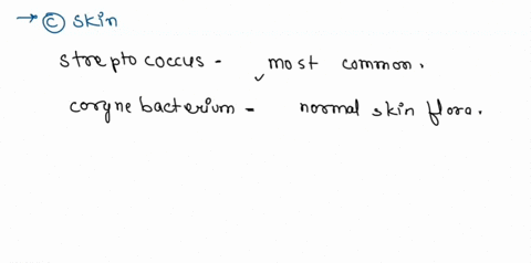 question-17-streptococcus-corynebacterium-and-propionibacterium-are-normal-microbiota-that-characterize-the-urogenita-tract-saliva-skin-gastrointestinal-tract-question-18-which-of-the-follow-77693