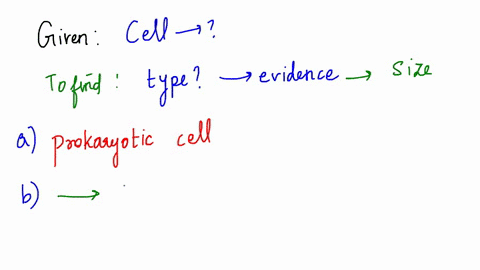 2a-are-the-cells-in-this-electron-micrograph-below-prokaryotic-or-eukaryotic-give-2-pieces-of-evidence-that-support-your-answer-to-za-3-make-a-generalization-about-the-size-of-prokaryotic-an-33428