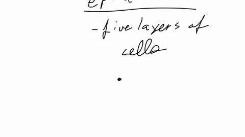 the-epidermis-consists-of-five-layers-of-cells-each-layer-with-a-distinct-role-to-play-in-the-heath-wel-being-and-functioning-of-the-skin-which-of-the-following-layers-is-responsible-for-cell-division