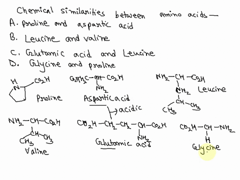 which-of-the-two-following-amino-acids-have-side-chains-that-are-most-chemically-similar-a-proline-and-aspartic-acid-b-leucine-and-valine-c-glutamic-acid-and-leucine-d-glycine-and-proline-69858
