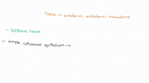 q3-indicate-one-tissue-that-is-derived-from-each-of-the-ectoderm-the-endoderm-and-the-mesoderm-in-carthwors-3-21327