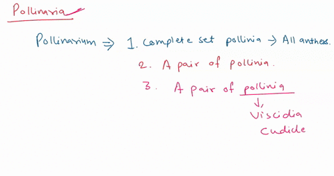 question-1-1-pts-what-are-pollinaria-why-do-orchids-have-pollinaria-instead-of-the-loose-powdery-pollen-that-is-produced-by-most-other-types-of-plants-14672