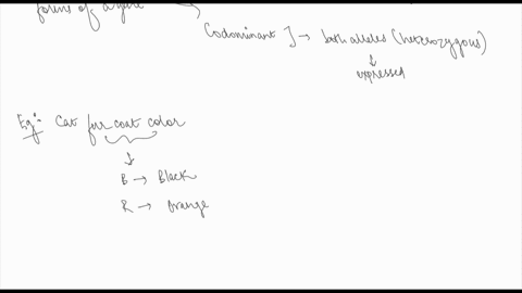 10calico-coat-color-found-in-cats-which-caused-dy-sex-linked-codominant-allele-the-coloration-of-calico-cats-also-tne-result-of-the-inactivalion-of-one-of-a-female-cat-sex-chromosomes-in-fem-01356