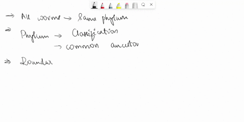all-worms-belong-to-the-same-phylum-false-true-09096