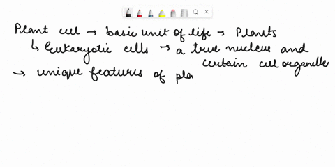how-do-you-know-what-a-plant-cell-is-34075