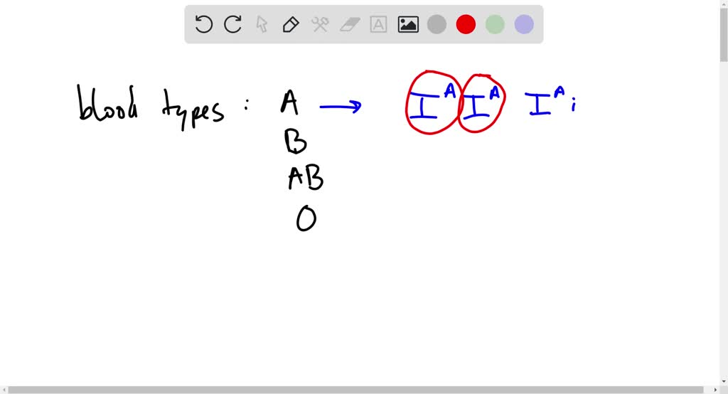 SOLVED in the human blood type AB, the alleles are polygenic, sex linked, codominat, or dominant picture