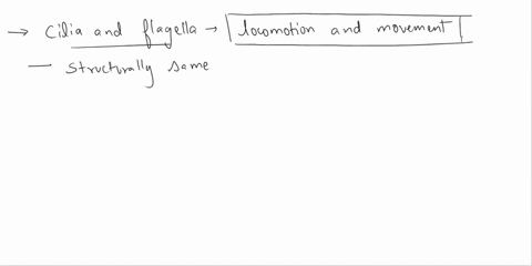 describe-the-structure-of-cilia-and-flagellaand-state-the-function-of-each-09666