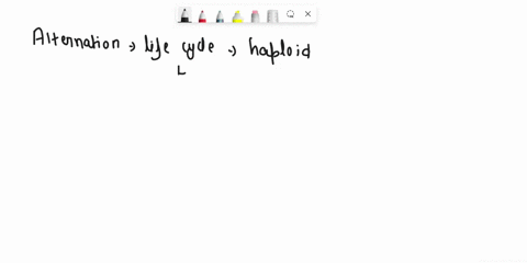 which-type-of-life-cycle-has-both-a-haploid-and-a-diploid-multicellular-stage-a-alternation-of-gener-38664