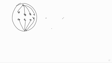 draw-a-diagram-that-shows-the-arrangement-of-chromosomes-during-the-following-stages-of-meiosis-1-an-animal-cell-2n8-at-metaphase-i-2-a-plant-cell-2n4-at-anaphase-ii-3-a-plant-cell-2n8-at-te-57553