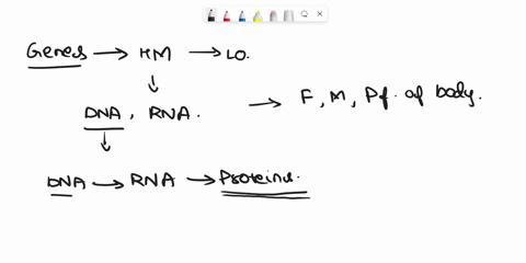 describe-the-process-of-gene-therapy-insert-therapeutic-gene-into-_-patient-cells-are_-virus-will_-04476