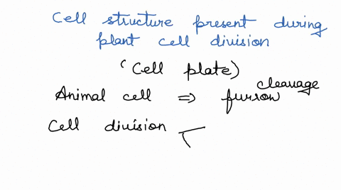 stion-3-which-cell-structure-is-present-during-plant-cell-dvision-but-not-animal-cell-division-0-cell-plate-0-b-cleavage-furrow-cytokinesis-d-spindle-ststet-chromalids-moving-10-another-cues-79045