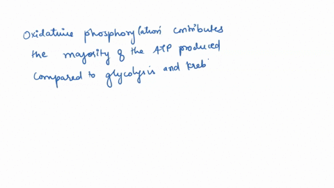 the-majority-of-atp-produced-during-the-catabolism-of-glucose-is-formed-during-_____-a-glycolysis-b-the-citric-acid-cycle-c-the-formation-of-acetyl-coa-d-oxidative-phosphorylation-82403