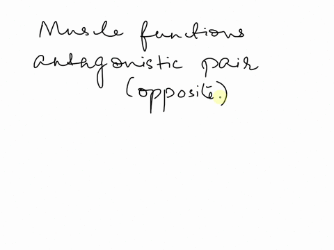 muscles-work-in-pairs-to-perform-antagonistic-opposite-functions-identify-the-pair-of-muscles-that-are-not-antagonists-with-each-other-sternocleidomastoid-and-splenius-biceps-brachii-and-tri-27796