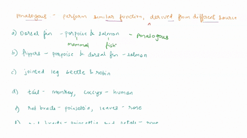 analogy-and-homology-are-important-concepts-used-in-comparing-species-traits-are-homologous-if-they-75649