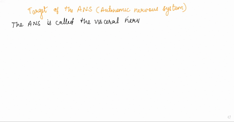 generally-speaking-what-are-the-targets-of-the-ans-choose-the-correct-option-select-one-smooth-muscle-cardiac-muscle-and-glands-skeletal-muscle-fibers-periventricular-zone-of-the-hypothalamu-74867