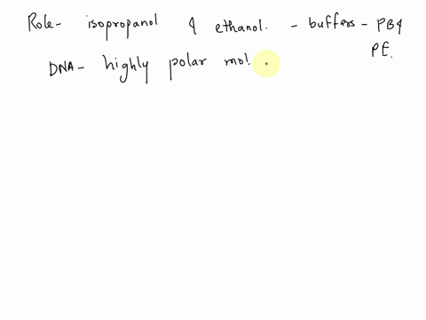 what-is-the-main-purpose-of-isopropanol-and-ethanol-in-buffer-pb-and-buffer-pe-respectively-renaturation-of-dna-keeping-dna-insoluble-denaturation-of-proteins-bound-to-dna-eluting-dna-off-th-86909