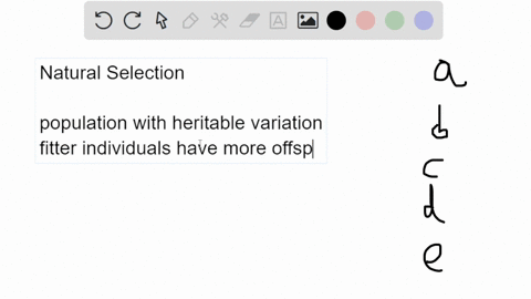 which-of-the-following-statements-about-natural-selection-is-misconception-select-one-natural-selection-involves-differential-reproductive-success-b-in-natural-sel-lection-traits-that-are-fa-39542