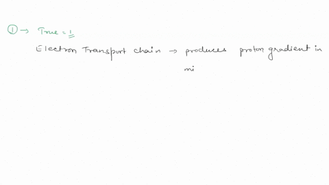 question-4-1-pts-for-the-following-question-true-1-false-2-are-the-following-statements-true-or-false-1-atp-is-constructed-within-the-electron-transport-chain-2-photosynthesis-occurs-in-the-49234