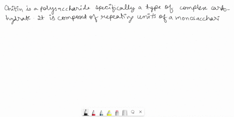 chitin-present-in-the-exoskeletons-of-arthropods-is1-protein2-homo-polysaccharide3-lipid4-derived-monosaccharide-2-79lii-1-5-m-8-1-2-1-v-11052