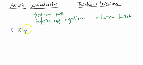 1-what-are-the-infective-stages-of-the-giant-roundworm-and-the-whipworm-to-humans-2-what-is-the-age-group-most-commonly-affected-by-ascariasis-and-trichuriasis-research-on-this-and-provide-a-54378