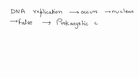 which-of-the-following-is-not-a-true-statement-comparing-prokaryotic-and-eukaryotic-dna-replication-a-both-eukaryotic-and-prokaryotic-dna-polymerases-build-off-rna-primers-made-by-primase-b-62015