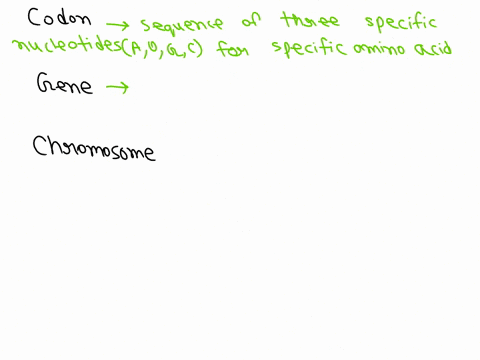 what-is-a-codon-a-gene-a-chromosome-2-67787